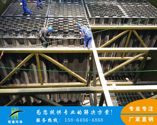 电除雾麻豆网站免费看